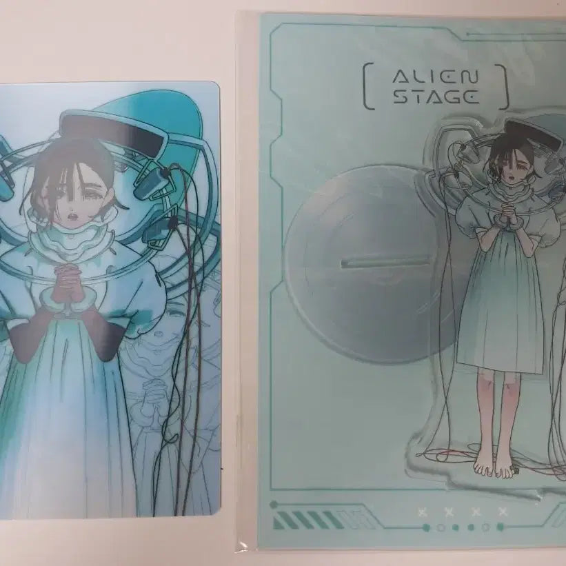 [BUNJANG] ACESTORY Sua Anact Garden Acrylic Stand / 에이스테 수아 아낙트 가든 아크릴 스탠드