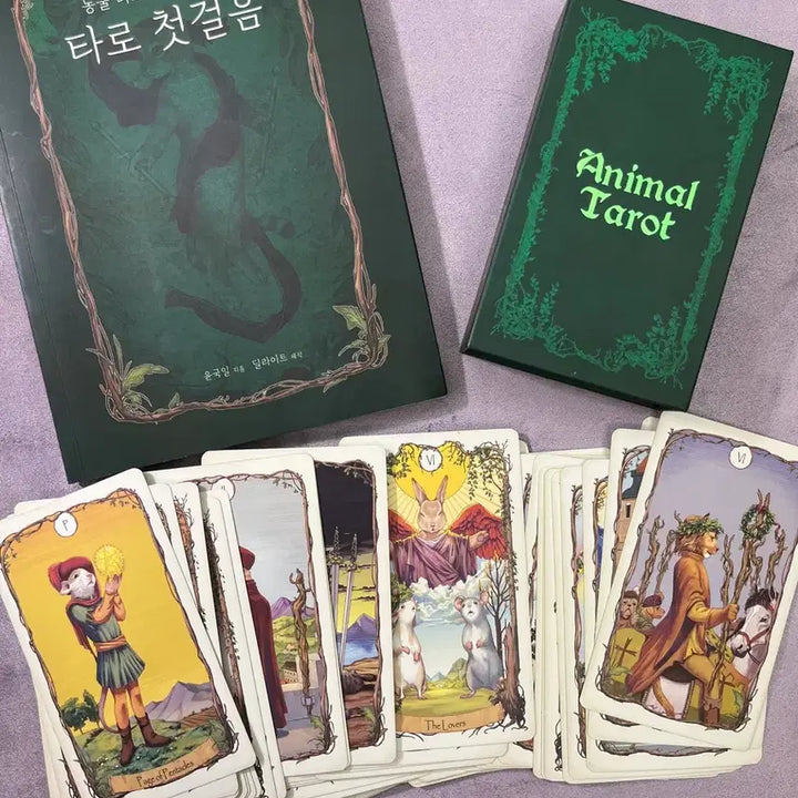 [BUNJANG] Animal Tarot Deck and Guidebook Set / Animal Tarot 타로세트
