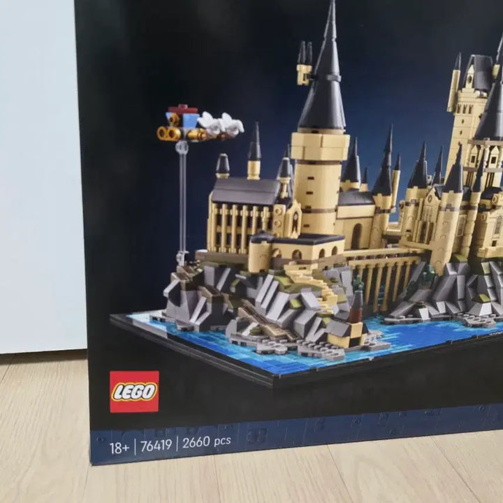 [BUNJANG] LEGO 76419 Harry Potter Hogwarts Castle and Grounds / 레고 76419 해리포터 호그와트 캐슬과 정원