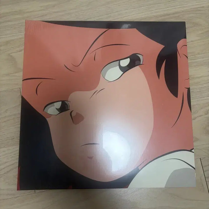 [BUNJANG] Adoy Catnip LP (Sealed) / 아도이 캣닙 CATNIP LP 미개봉