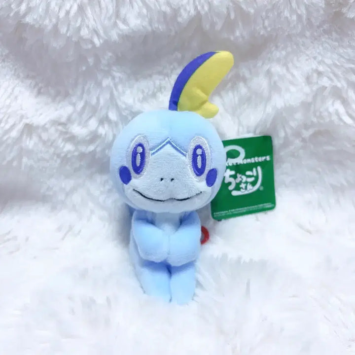 [BUNJANG] Pokemon Center Sobble Plush / 포켓몬센터 울머기 인형 새상품