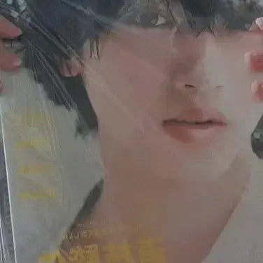 [BUNJANG] Shunsuke Michieda Magazine / 미치에다 슌스케 잡지 팔아요