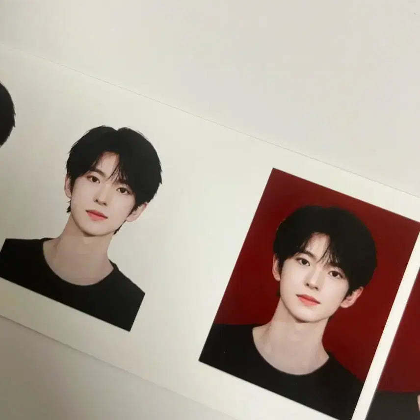 [BUNJANG] SURL Yushi Photocard / 서프 유우시 포카 + 증명사진 덤