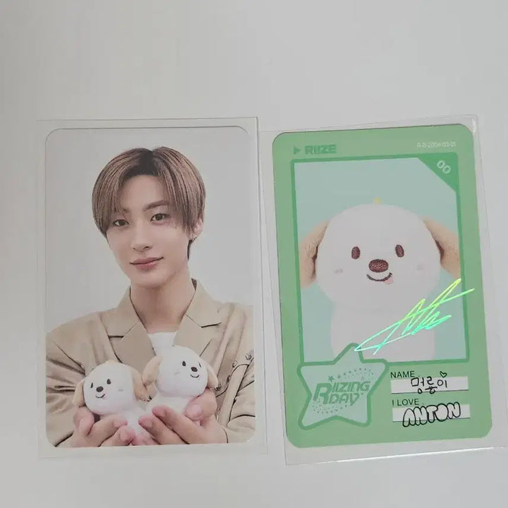 [BUNJANG] RIIZE Anton Photocard (Mongryong) Bundle Set / 라이즈 앤톤 포카 트레카