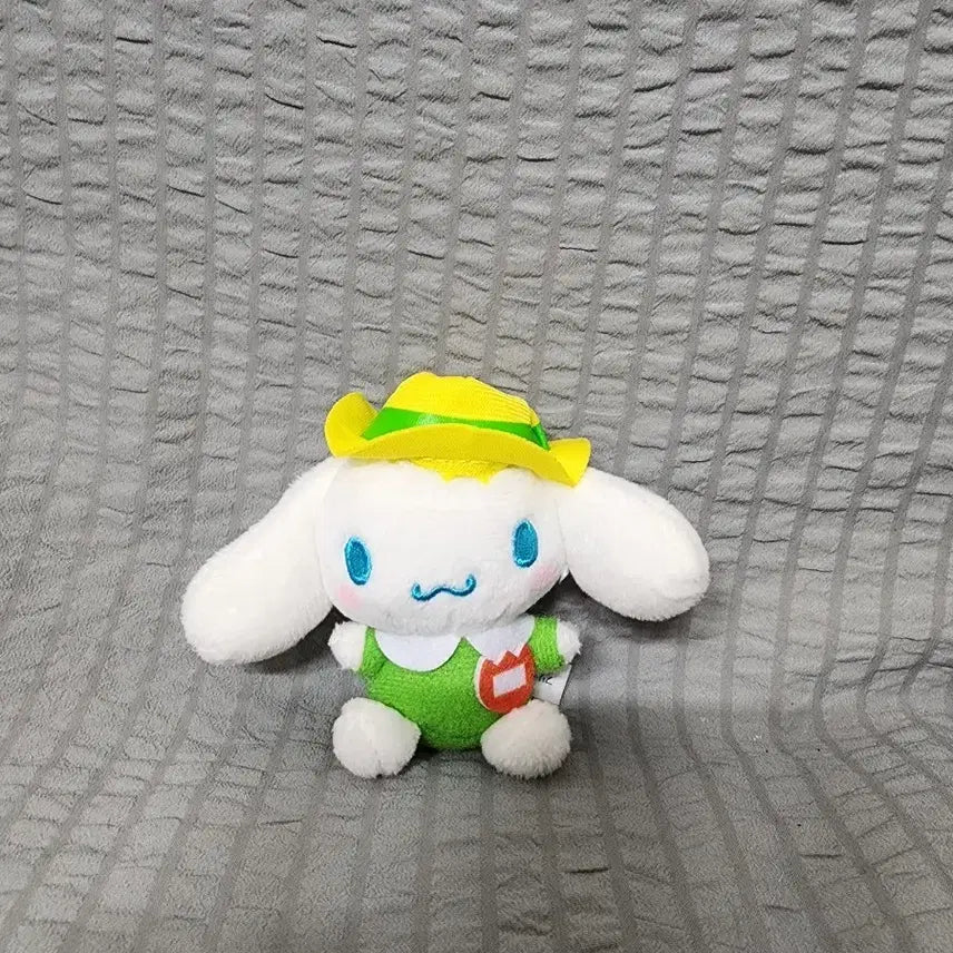 [BUNJANG] Rare Cinnamoroll Kindergarten Mascot Green / 레어 시나모롤 유치원 마스코트 그린 컬러