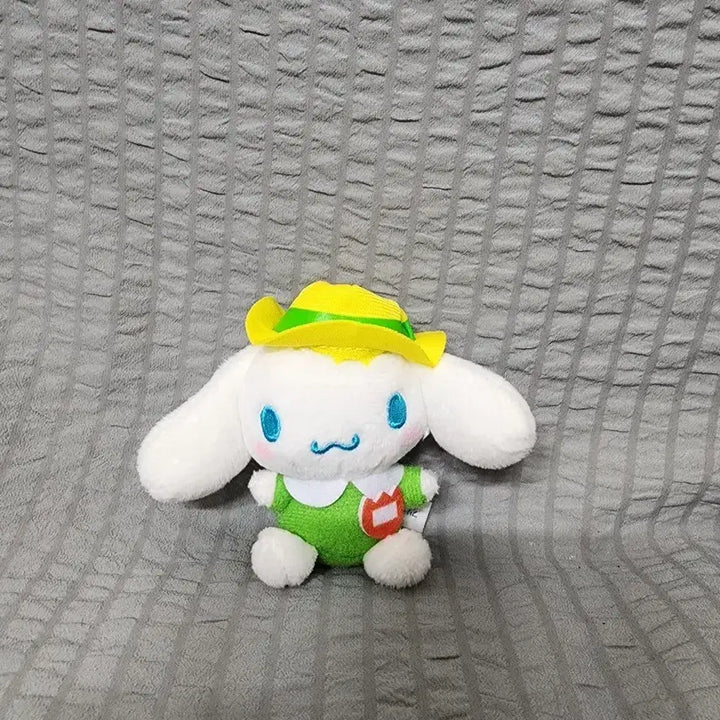 [BUNJANG] Rare Cinnamoroll Kindergarten Mascot Green / 레어 시나모롤 유치원 마스코트 그린 컬러