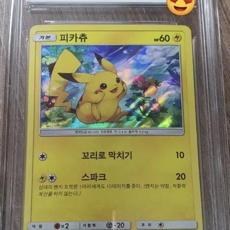 [BUNJANG] 2017 Pokemon Pikachu Promo Card / 2017 포켓몬 카드 피카츄 프로모