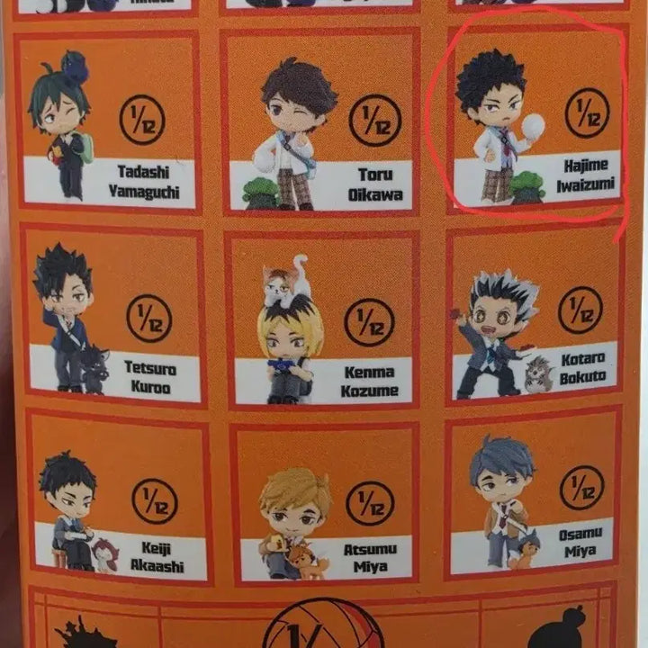 [BUNJANG] Haikyu!! Pop Mart Iwaizumi Figure / 하이큐 팝마트 이와이즈미