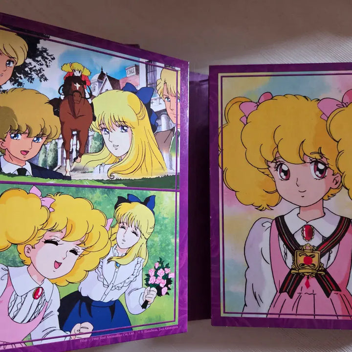 [BUNJANG] Princess Hour French Dub Edition DVD / 작은숙녀링 프랑스어 보급판 DVD