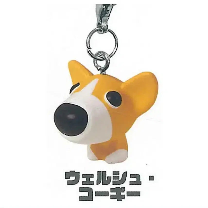 [BUNJANG] The Dog (더독) Welshi Corgi Figurine / the dog 더독 더 도그 메지루시 웰시코기