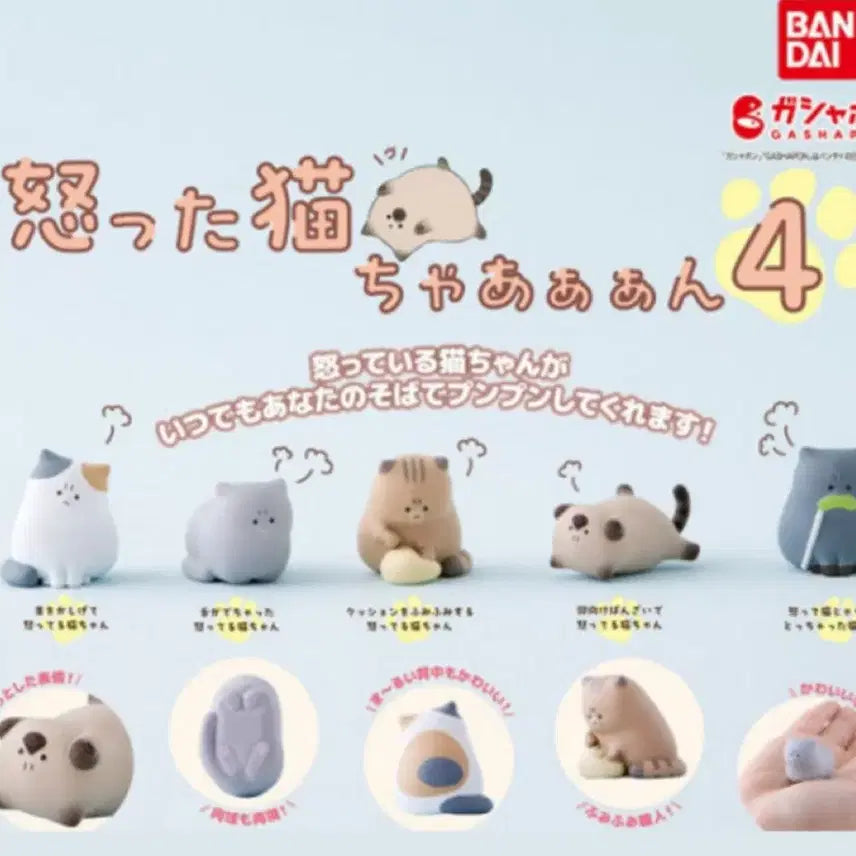 [BUNJANG] Grumpy Cat Gacha 3-Type Bundle Set / 화난 고양이 가챠 3종 일괄