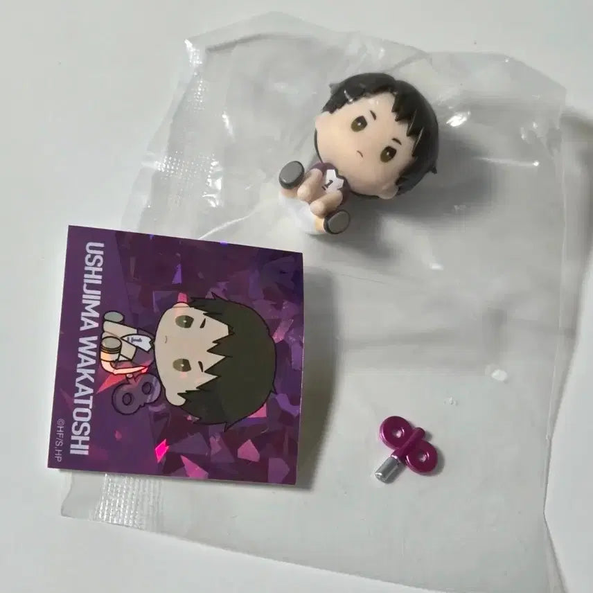 [BUNJANG] Haikyuu!! Peta-Tto Wind-Up Gacha Ushijima / 하이큐 페탓토 태엽 가챠 우시지마
