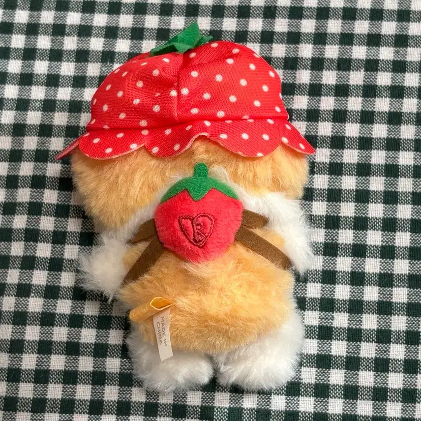 [BUNJANG] Baekhyun Strawberry Plush / 백현 터래기 딸기버전