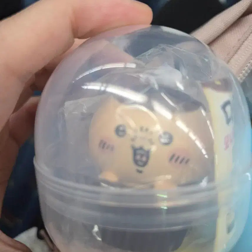 [BUNJANG] Momokyunchiki Kurimanju Cupcake / 먼작귀 쿠리만쥬 컵케이크