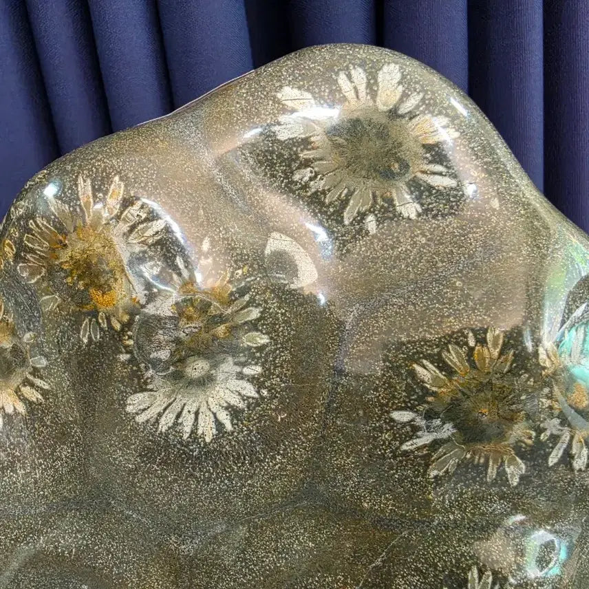 [BUNJANG] Grade 1 White Chrysanthemum Fossil / 1급 백국화석