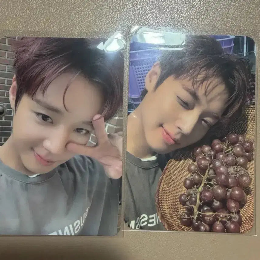 [BUNJANG] Park Ji Hoon (The Venti) Photocard Bundle Set / 박지훈 더벤티 포카 포도지훈 + 브이지훈 2종 일괄