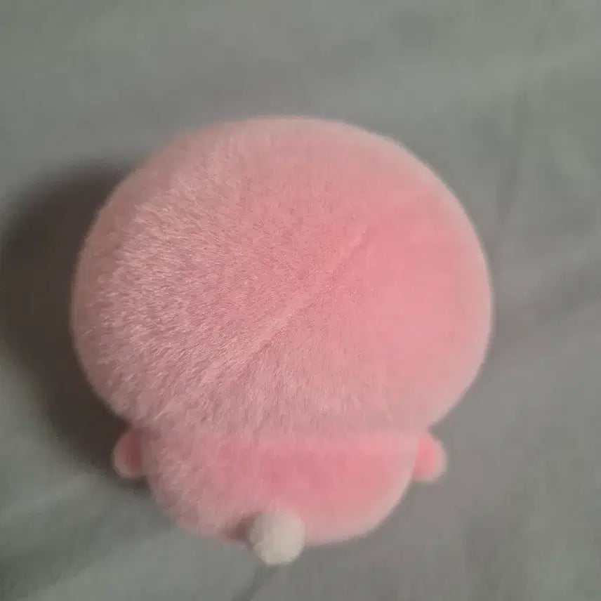[BUNJANG] Chiikawa Miniso Face Change Keyring / 치이카와 미니소 페이스체인지 키링