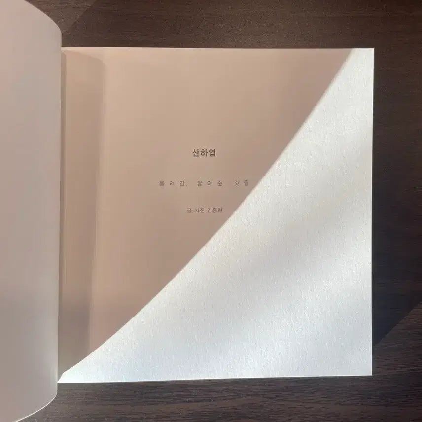 [BUNJANG] SHINEE Jonghyun Sanha Leaf Photobook / 샤이니 종현 산하엽