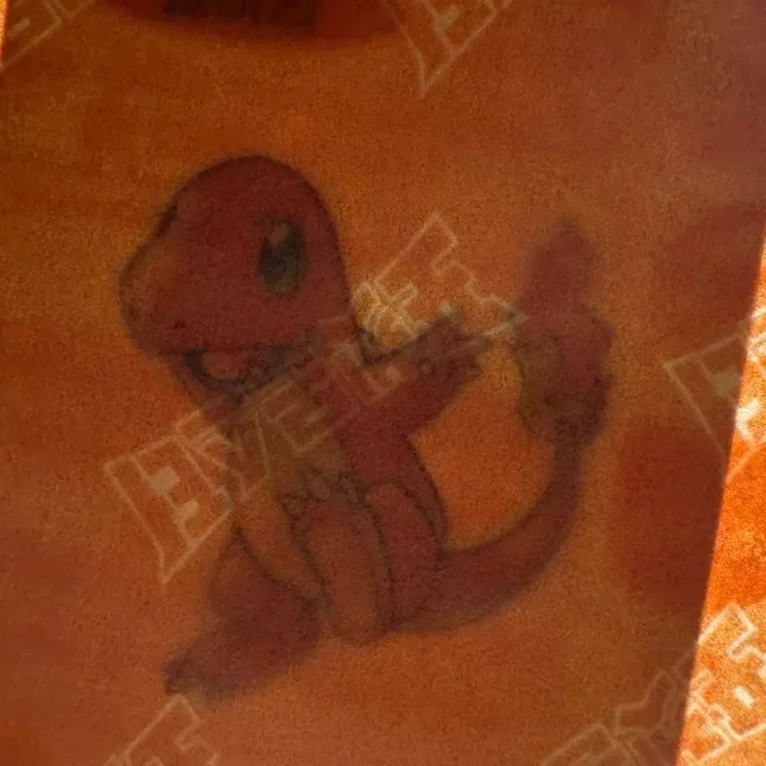 [BUNJANG] Pokemon 30th Anniversary Ddakji Sticker Squirtle / [미개봉 새상품] 포켓몬 30주년 띠부씰 스티커  파이리 30주년