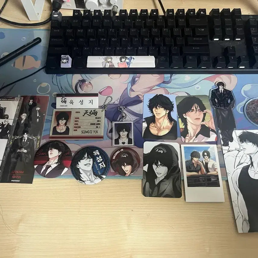 [BUNJANG] Lookism (외모지상주의) Character Goods Bundle Set (Includes Body Pillow) / 외모지상주의 육성지 굿즈 (바디필로우 포함 ) 일괄 판매합니다