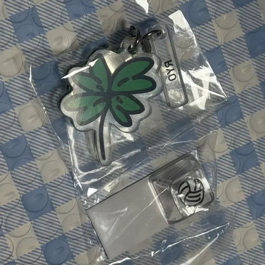 [BUNJANG] NCT 10th Anniversary Neo Dimension Gacha Keyring Riku / NCT 10주년 전시회 네오 디멘션 가챠 키링 료 키캡 리쿠 엔시티 위시