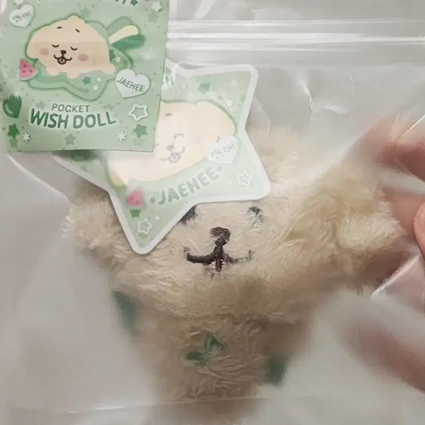 [BUNJANG] NCT WISH Pocket Wish Doll Daengtriver (Display Only) / 포켓위시돌 댕트리버 (단순 전시)