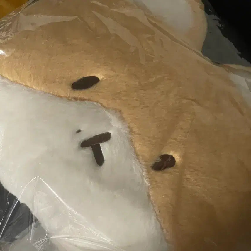 [BUNJANG] Teddy Bear Face Cushion (Sealed) / 터래기 얼굴 쿠션 미개봉
