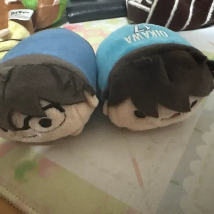 [BUNJANG] Oikawa Plush / 오이카와 누이