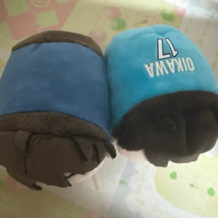 [BUNJANG] Oikawa Plush / 오이카와 누이