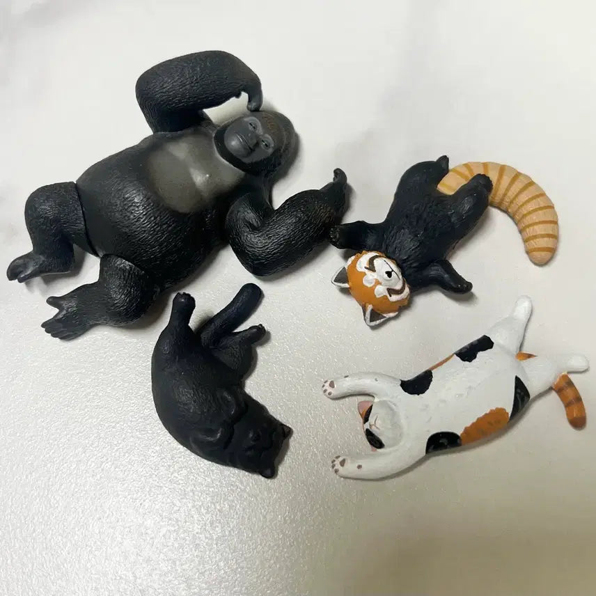 [BUNJANG] Sleeping Animals Gacha Set / 잠자는 동물 가챠