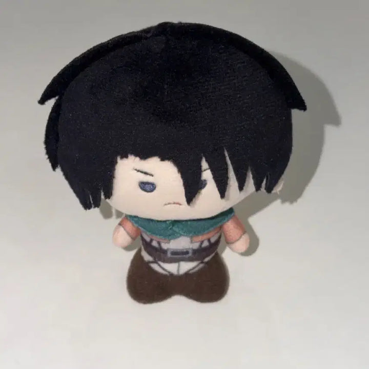 [BUNJANG] Attack on Titan Levi Kinokoz Plush Doll / 진격의거인 리바이 키노코즈 인형 누이