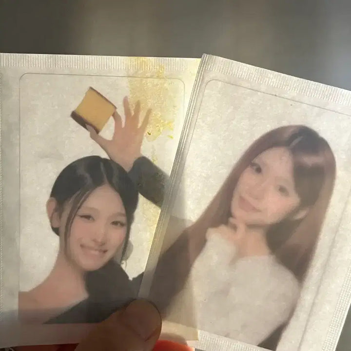 [BUNJANG] Lisence Bag Photocard Bundle Set (4 pcs) / 리센느빵 포토카드 4장 일괄