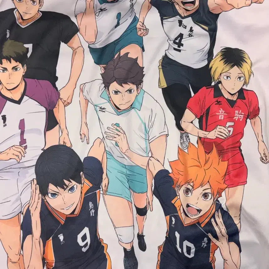 [BUNJANG] Haikyuu!! 10th Anniversary Fabric Poster / 하이큐 10주년 패브릭포스터