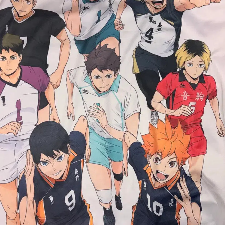 [BUNJANG] Haikyuu!! 10th Anniversary Fabric Poster / 하이큐 10주년 패브릭포스터