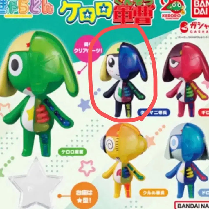 [BUNJANG] Keroro Skeleton Gacha Tamama / 케로로 스켈레톤 가챠 타마마