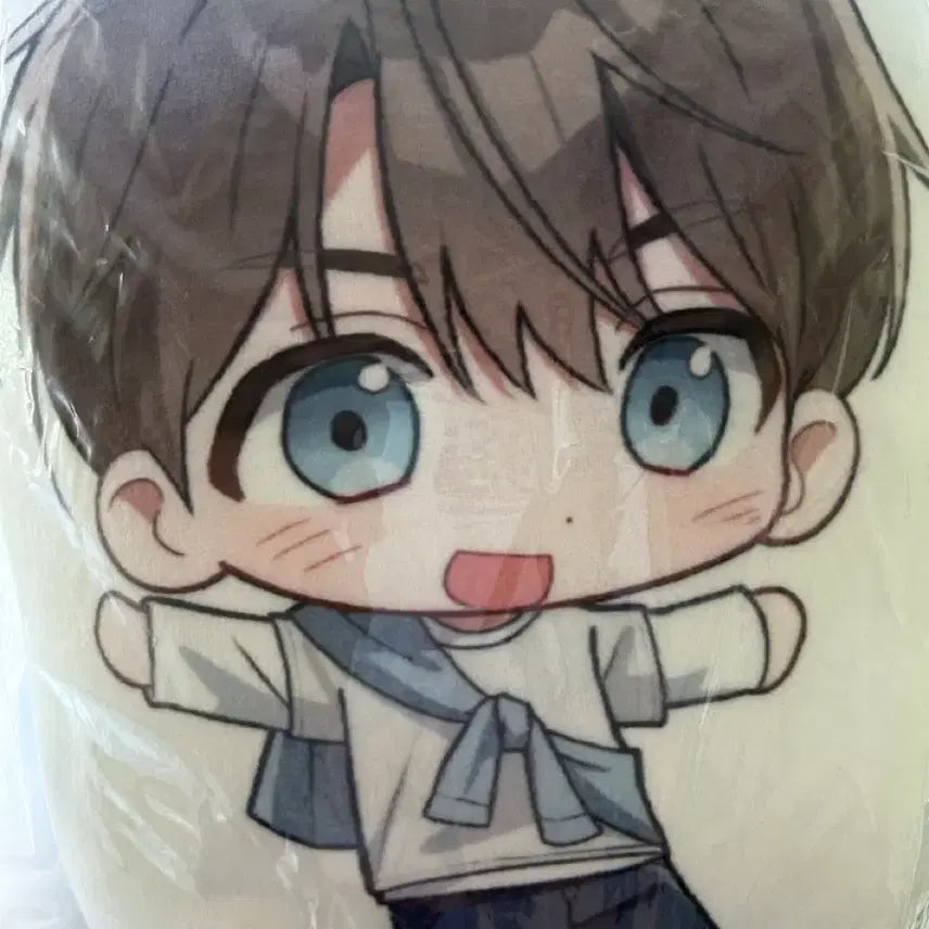 [BUNJANG] Jung Janda Jun Bangasael Line Art Cushion / 망아살 전사 쿠션 정다준