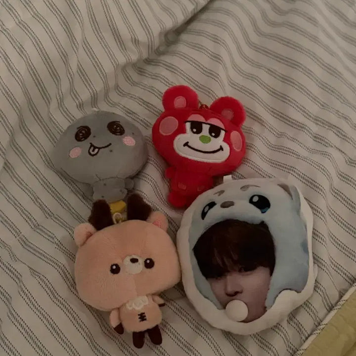 [BUNJANG] RIIZE Shotaro Eunseok Sungchan Plush Bundle Set / 라이즈 쇼타로 은석 성찬 인형 (일괄)