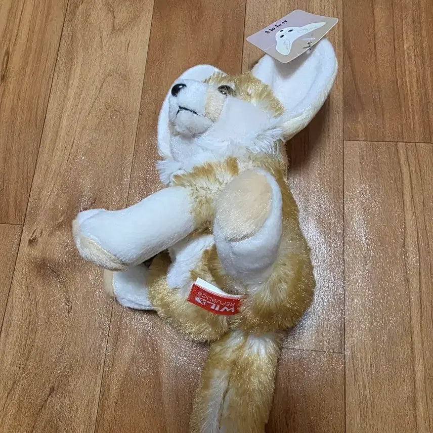 [BUNJANG] Desert Fox Plush Doll / 사막여우 봉제인형 귀여운 여우 인형