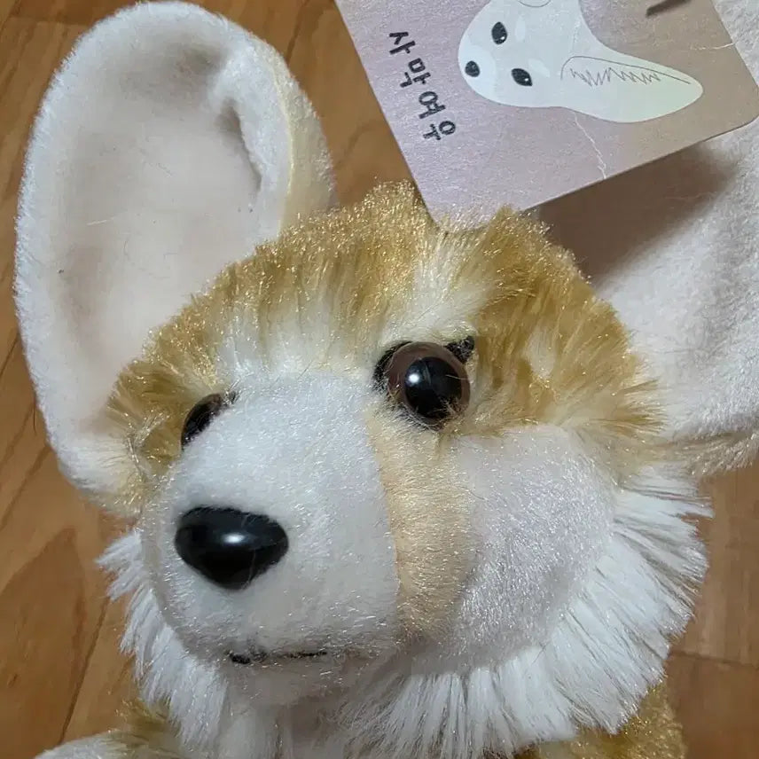 [BUNJANG] Desert Fox Plush Doll / 사막여우 봉제인형 귀여운 여우 인형