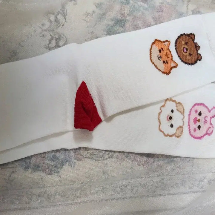 [BUNJANG] DAY6 Concert Socks / 데이식스 클콘 양말