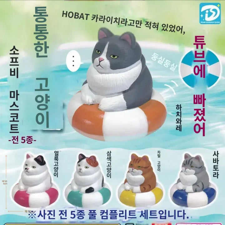 [BUNJANG] Chubby Cat Gacha Capsule Toy / 통통한 고양이 가챠 차 털 고양이