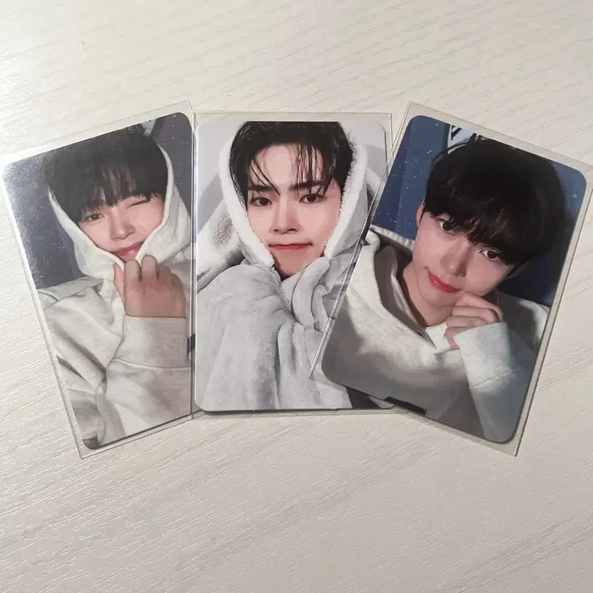 [BUNJANG] ZEROBASEONE Sung Hanbin Lucky Draw Photocard Set / 제로베이스원 성한빈 특전 럭키드로우 앨포 메이크스타 에버라인 후드 한빈