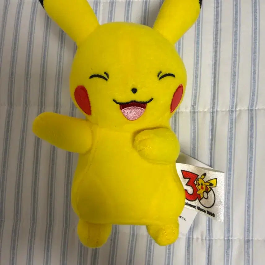 [BUNJANG] Pikachu Plush Toy from Japanese Crane Game / 일본 인형뽑기방에서 뽑은 피카츄인형