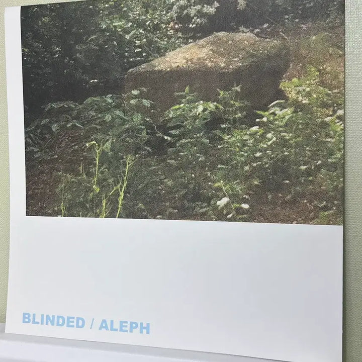 [BUNJANG] Aleph Apple Scent LP (Sealed) with Poster / 알레프 사과향 lp 미개봉, 포스터