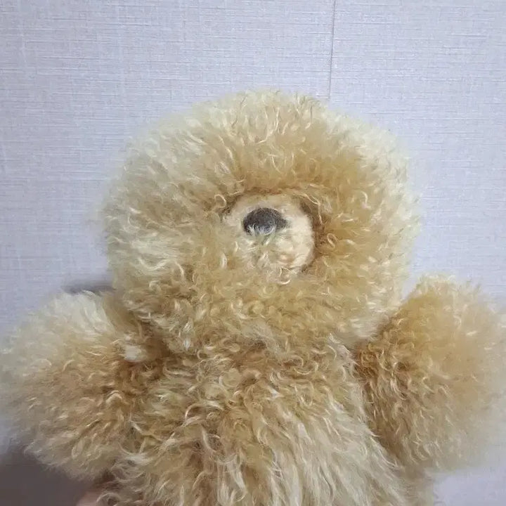 [BUNJANG] Combali Alpaca Brown Teddy Bear Medium / 컴발리 알파카 갈색 곰돌이 인형 미디움