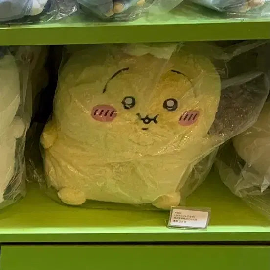 [BUNJANG] Chikawa (Ddungsa-gi) Plush Toy / 뚱사기 (뚱띠카와,뚱치와레도 있음)