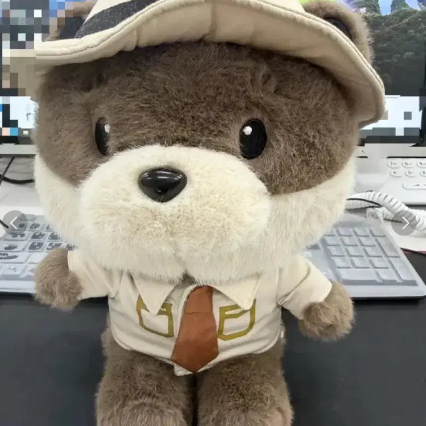[BUNJANG] National Park Dal-kong Medium Plush Doll 28cm / 국립공원 달콩이 중형인형 28cm, 국립공원 굿즈