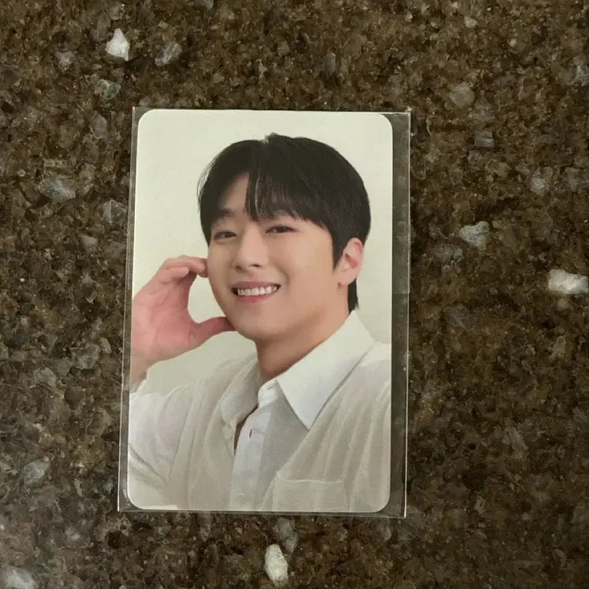 [BUNJANG] Lee Chan-won OLLODAM Olive Version Photocard / 올록담 이찬원 포카