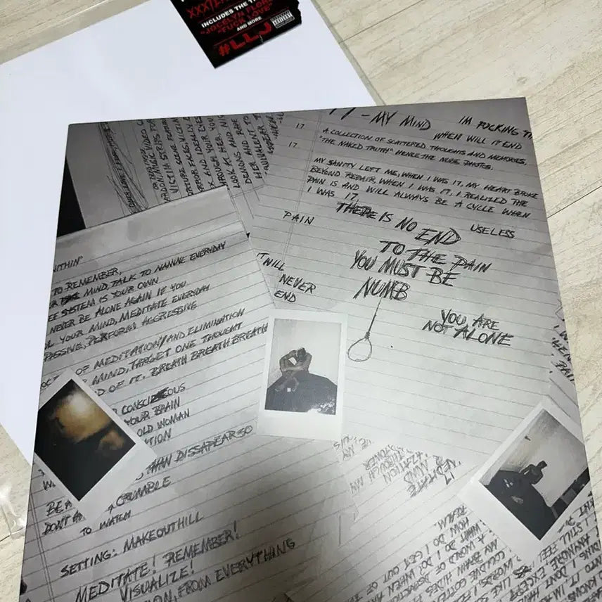 [BUNJANG] XXXTentacion 17 Two Vinyl Bundle Set / 텐타시온 17 위켄드 lp2장 일괄