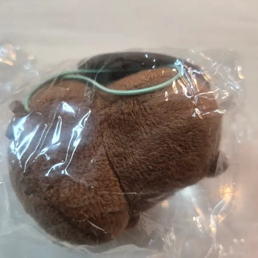 [BUNJANG] Poing Neso Nuigurumi Plush / 풍뎅이 네소 누이